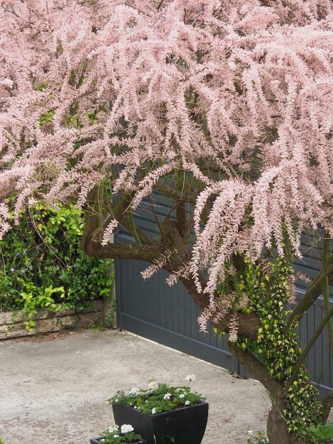 Les MesneuxLa Ferme De Maryse别墅 外观 照片
